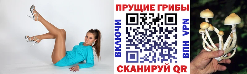 Псилоцибиновые грибы Psilocybe  Артёмовск 